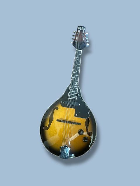 Sound Smith acoustic-electric mandolin